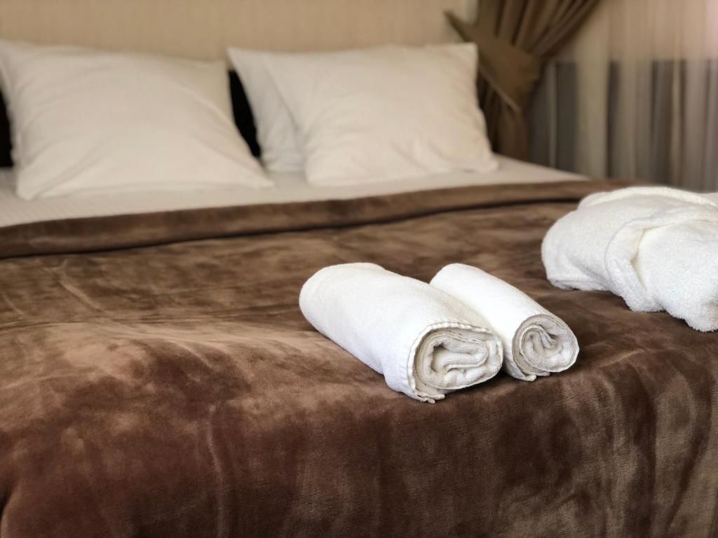 Отель Hotel Dwór Choiny Казимерувка